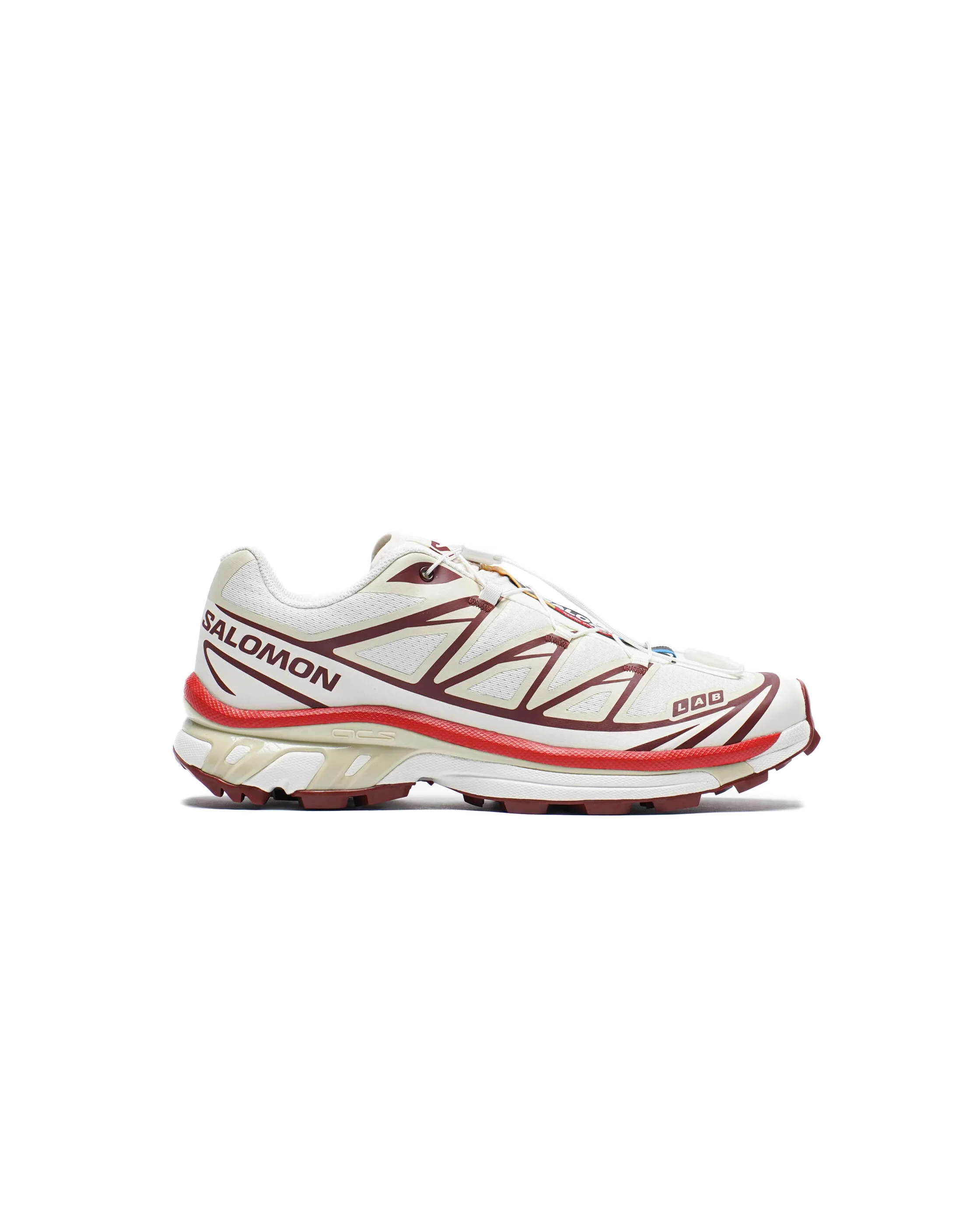 Salomon XT-6